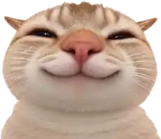 Aynen'in kısık gözlü, gülümseyen kedi sticker'ı